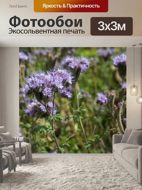 Фотообои Цветочный луг