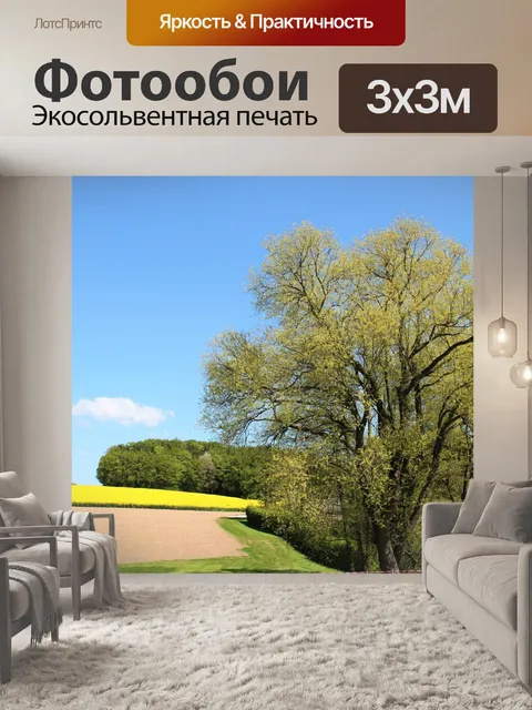 Фотообои Поле рапса