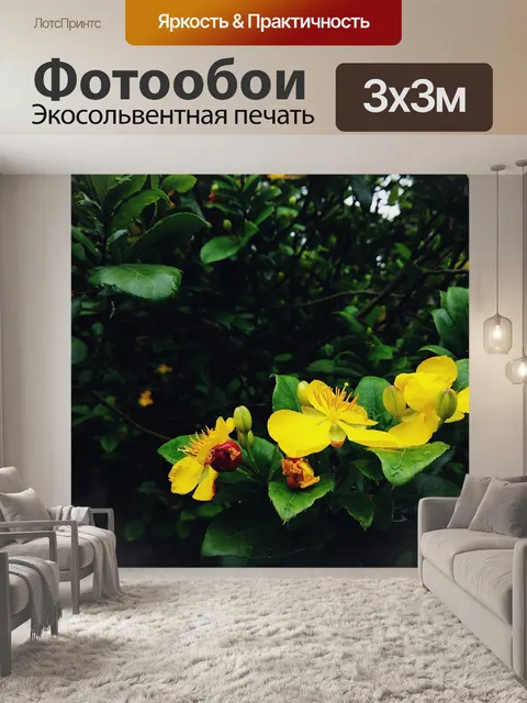 Фотообои Цветок
