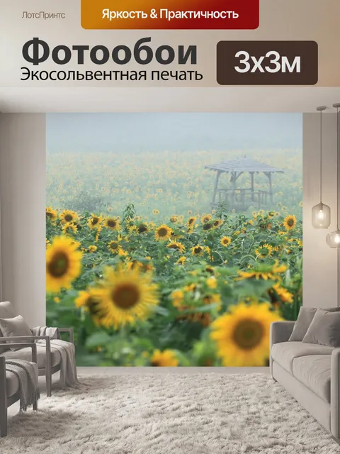 Фотообои Подсолнечник