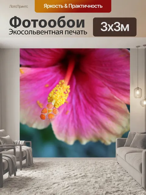 Фотообои розовые gumamela