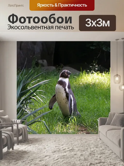 Фотообои Пингвин