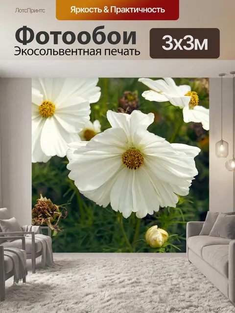 Фотообои Космос космоса цветов