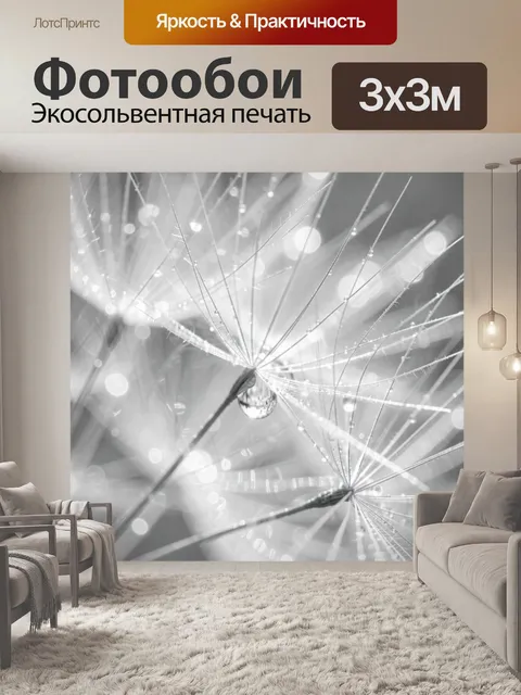 Фотообои Макросъемка одуванчика с каплей