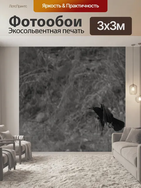 Фотообои Ворона