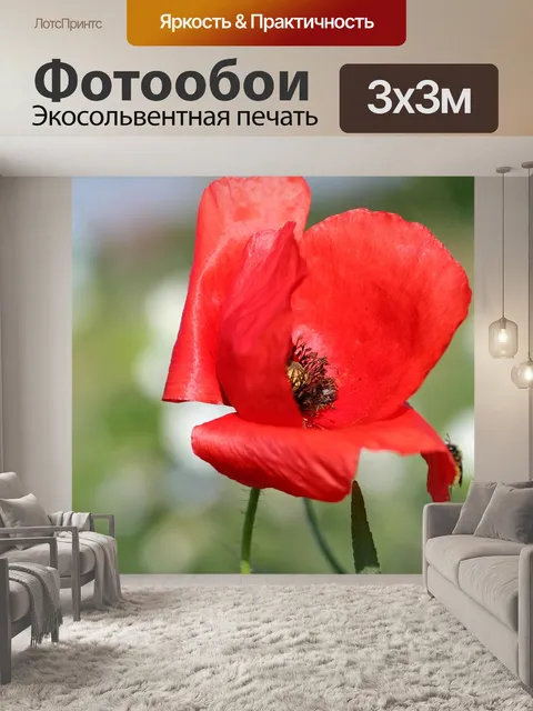 Фотообои Цветок