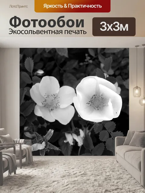 Фотообои Черное и Белое