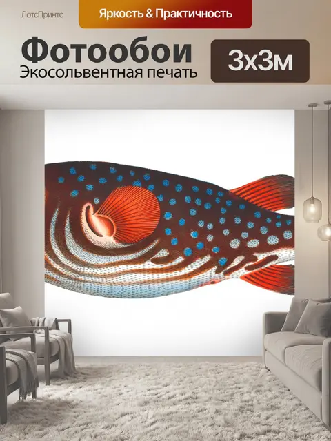 Фотообои Рыба старинные старое искусство