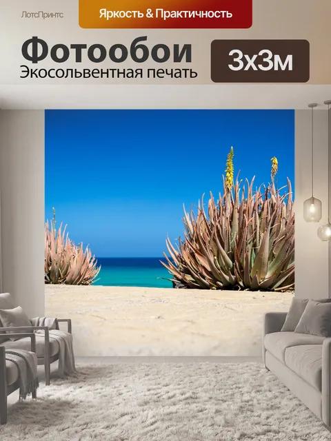 Фотообои Алоэ вера и море