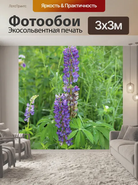 Фотообои люпин