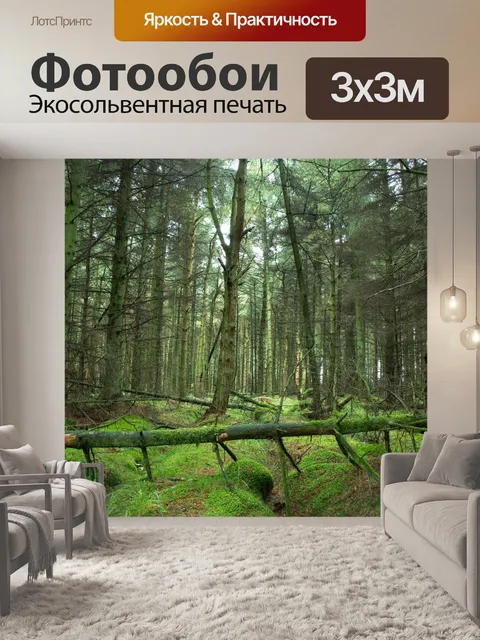 Фотообои лес