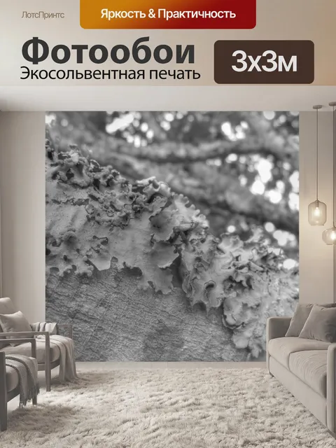 Фотообои Мосс на ветке серого