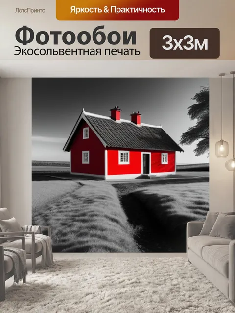 Фотообои пейзаж с красным домом чернобелый