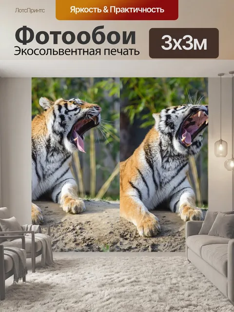 Фотообои Сибирский тигр, фон