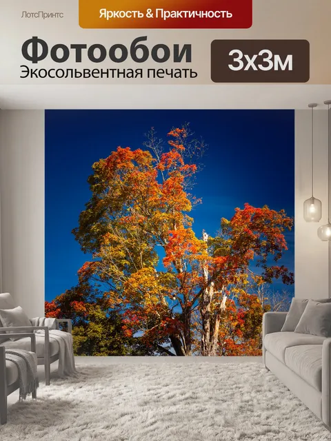 Фотообои дерево осенью
