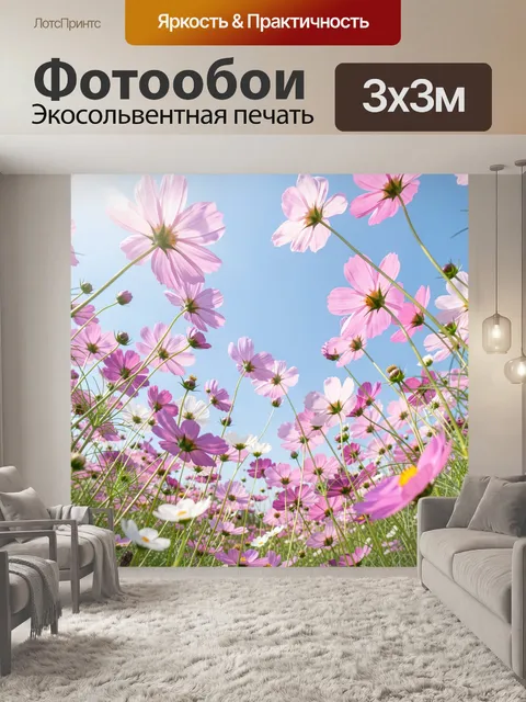 Фотообои Розовые космеи под голубым небом