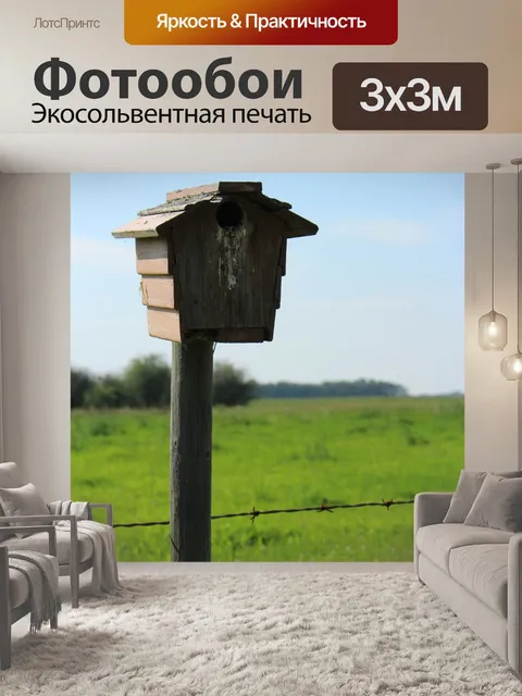 Фотообои Скворечник Браун Сообщение Колючая прово