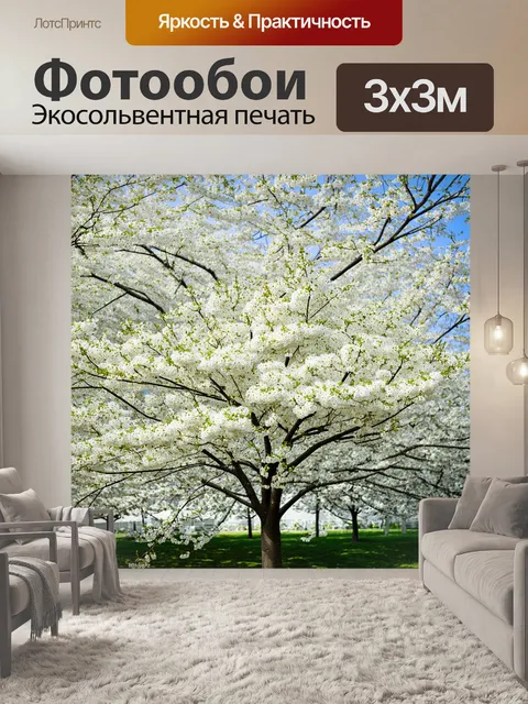 Фотообои дерево, полностью покрытое белыми цветками в весенний день, его ветви легкие и нежные