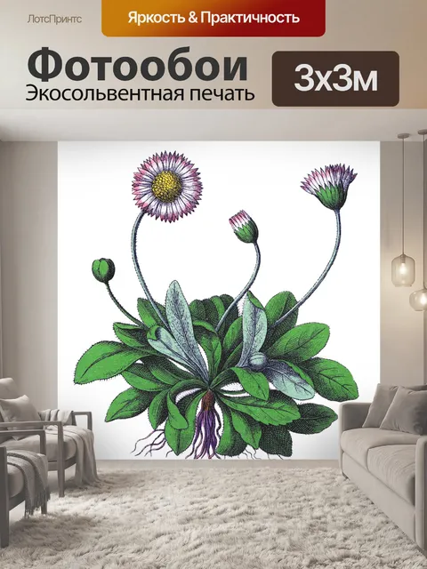 Фотообои Цветы клипарт графический рисунок