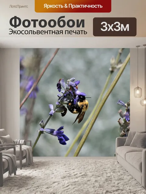 Фотообои Bumble Bee на Purple Wildflower