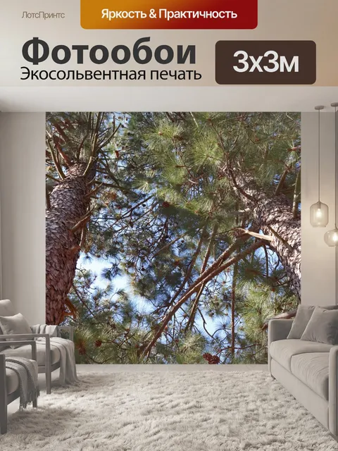 Фотообои стволы сосны
