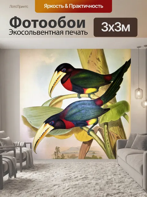 Фотообои Птицы - LEAR 1