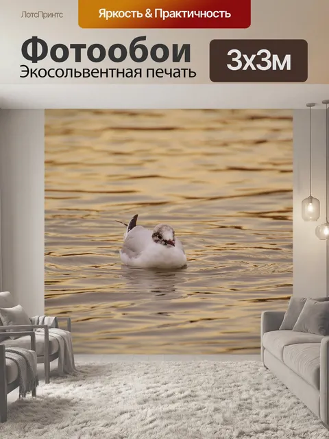 Фотообои Чайка