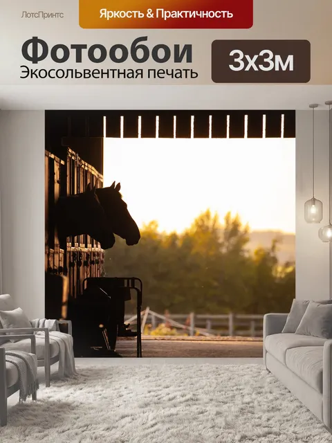 Фотообои Конный спорт