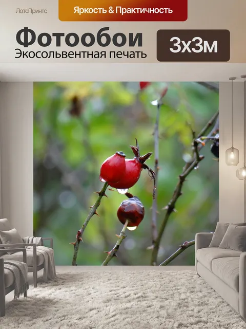 Фотообои Ягода