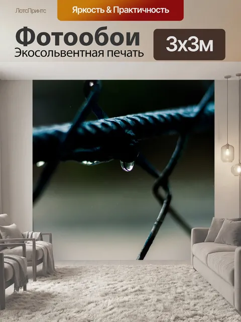 Фотообои Дождь