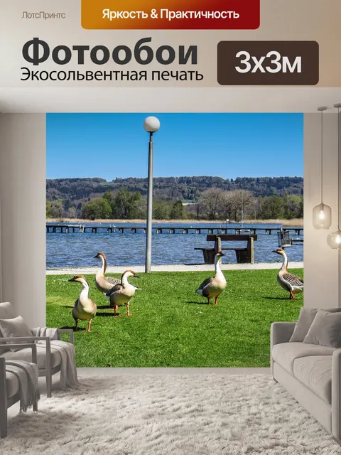 Фотообои Горбатые гуси