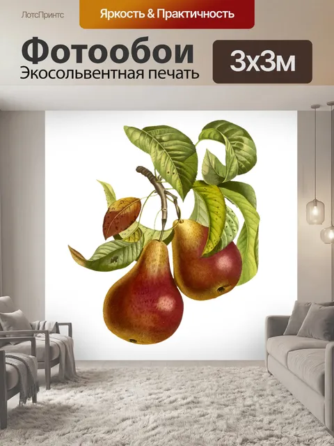 Фотообои Плоды груши винтажные
