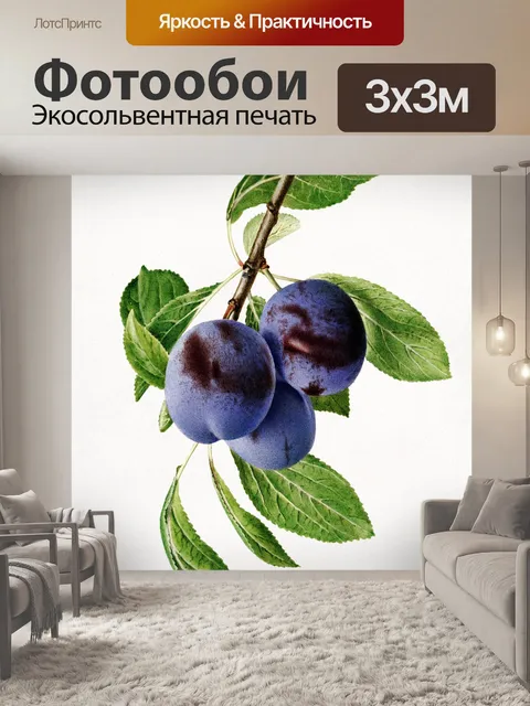 Фотообои Плоды сливы винтажное искусство