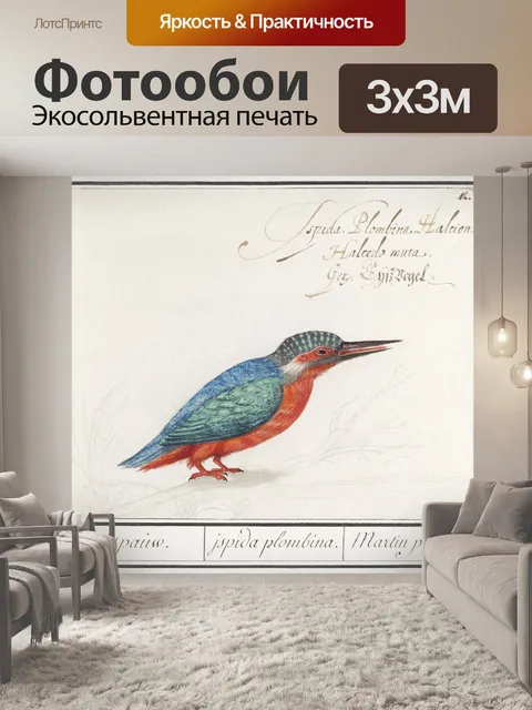 Фотообои Зимородок Птица