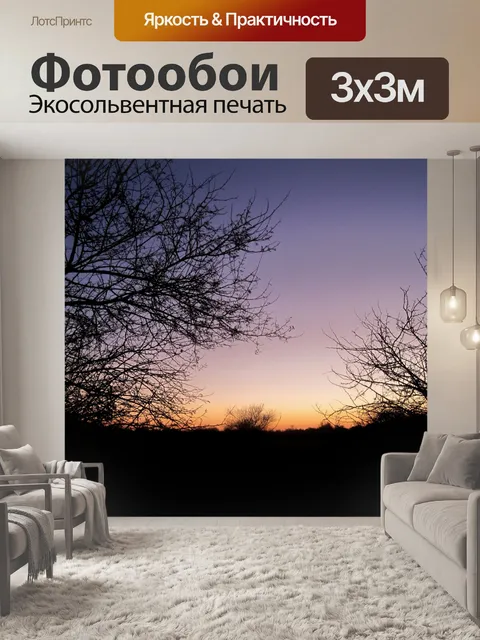 Фотообои залитый светом на рассвете
