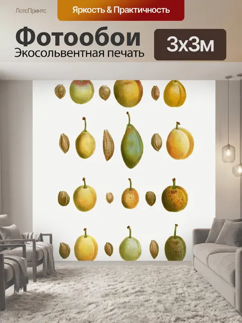 Фотообои Сливы марочные