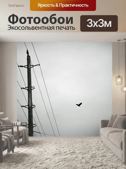 Фотообои птица в полете 2