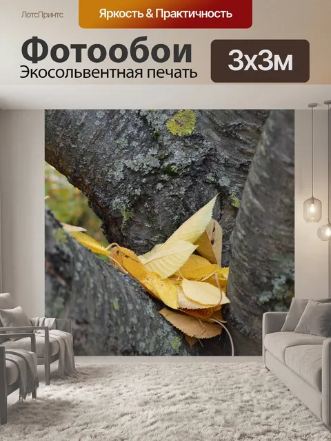 Фотообои Дерево