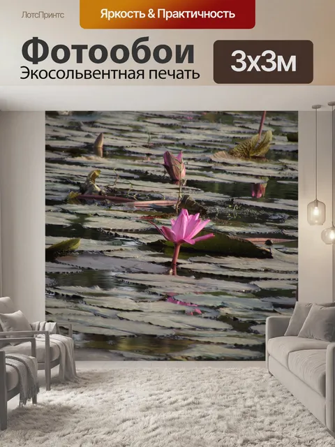 Фотообои Лотос