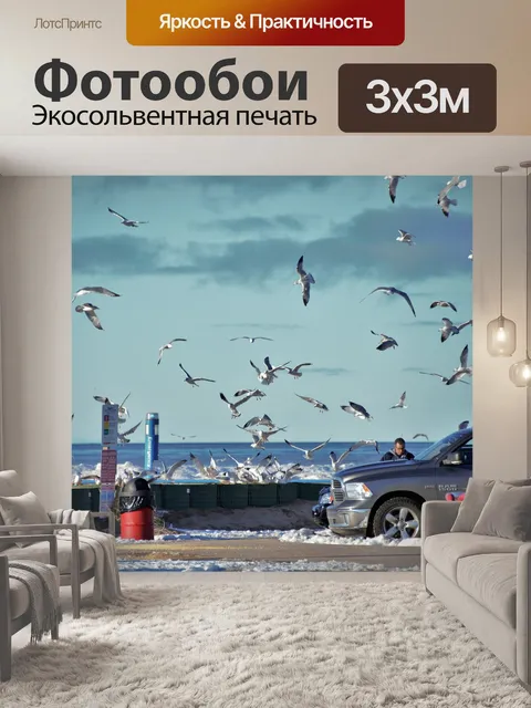 Фотообои Стая чаек