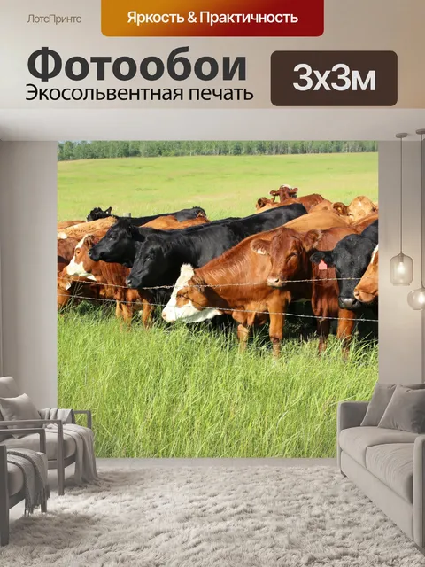 Фотообои Стадо коров выгона