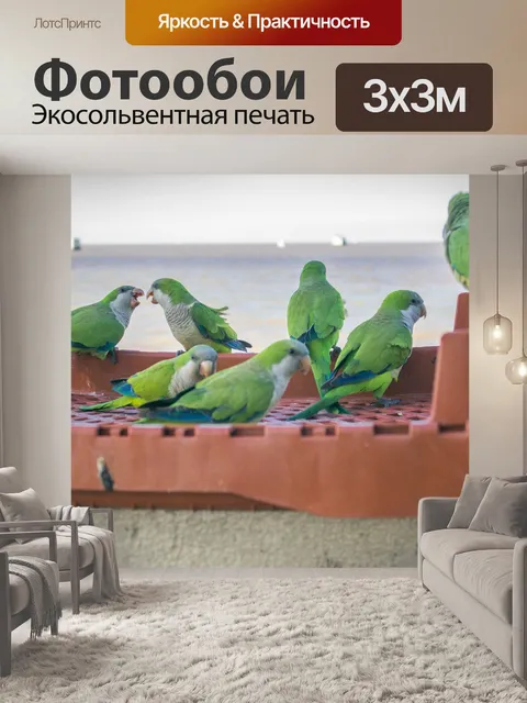 Фотообои Попугаи