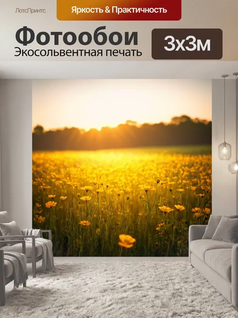 Фотообои поле в вечерние часы, когда последние лучи света кажутся торжественными цветами