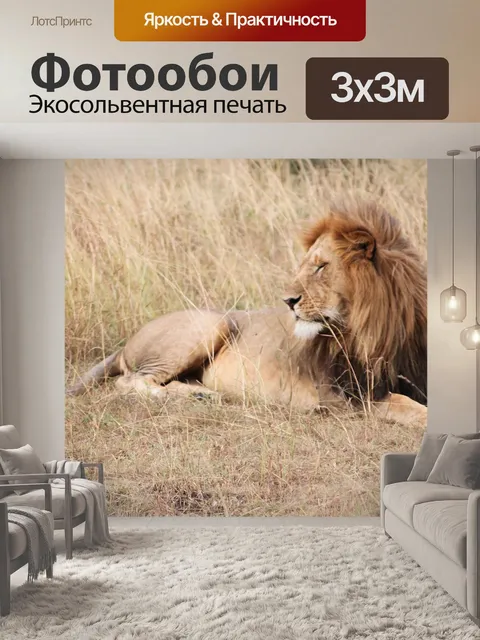 Фотообои Лев