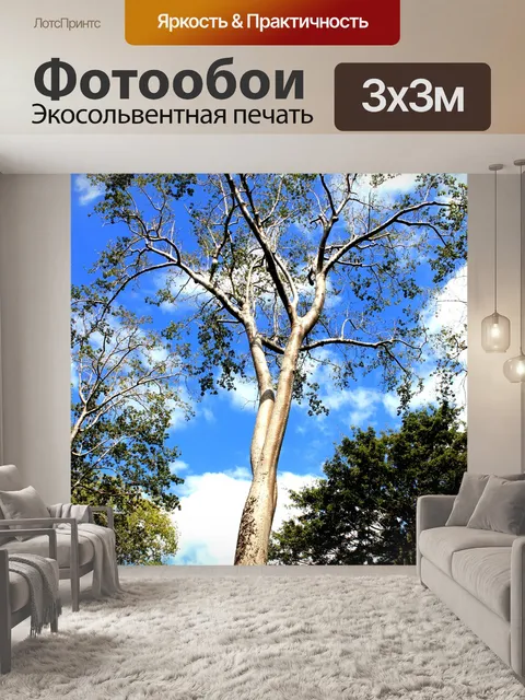 Фотообои Серебряное дерево