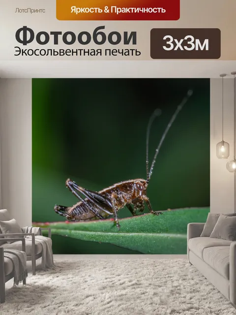 Фотообои Насекомое