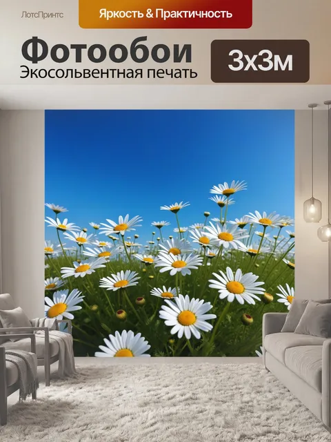 Фотообои полевые ромашки под голубым небом