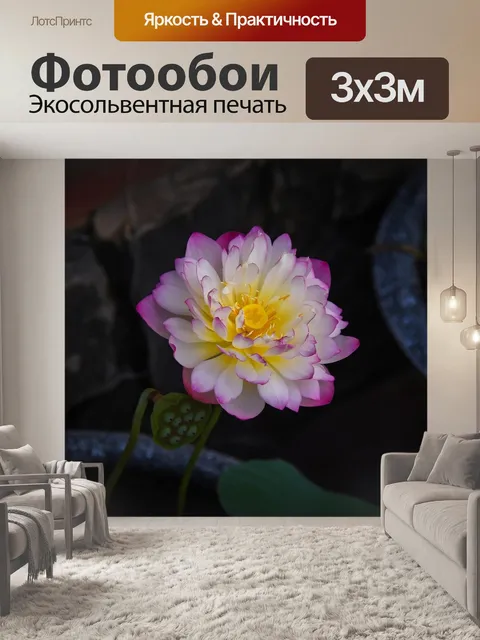Фотообои Золотой лотос розовый границы