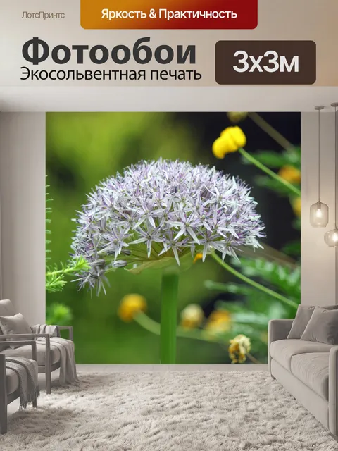 Фотообои Зонтик формы цветения цветка