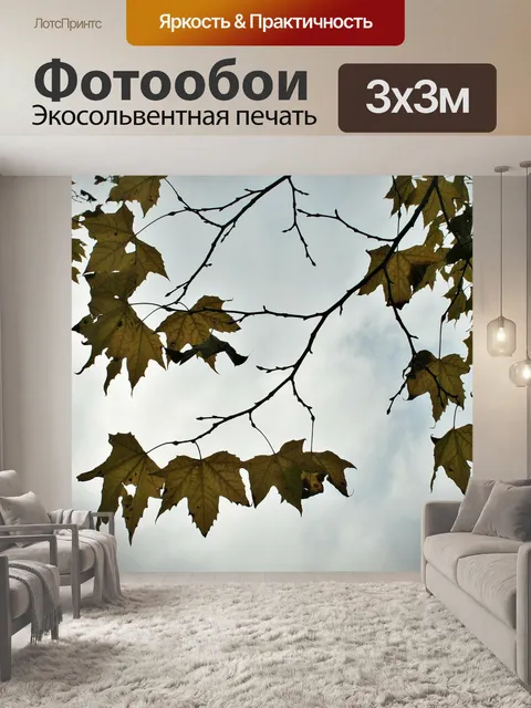 Фотообои Клен